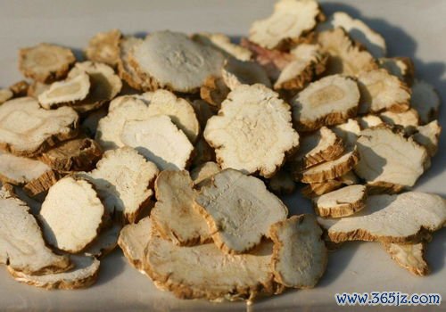 苎麻根安胎，苎麻根汤