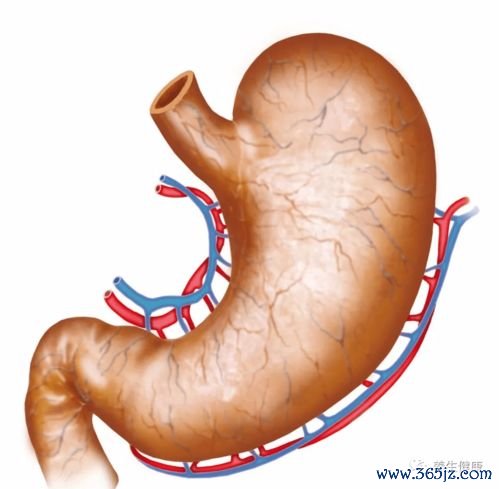 慢性胃炎：胃粘膜发炎——不疼不等于好了