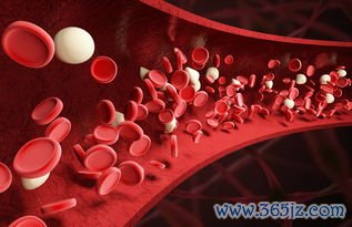 成分输血：缺红细胞输红细胞，缺血小板输血小板