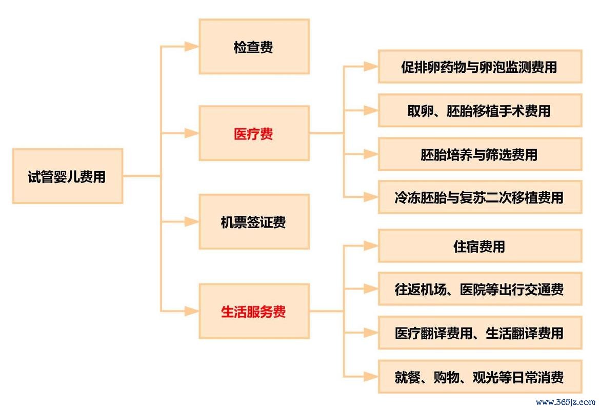 做试管婴儿费用多少