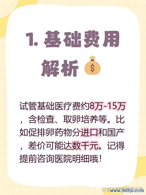 做试管婴儿费用大概是多少