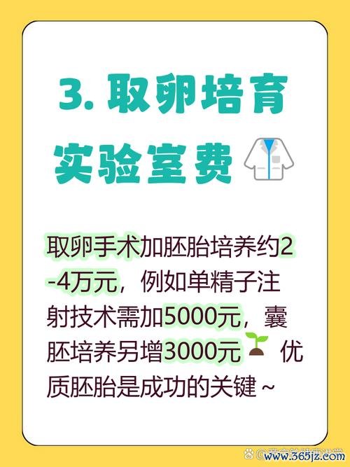 做试管婴儿费用多少钱