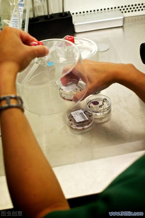 做试管婴儿费用多少钱