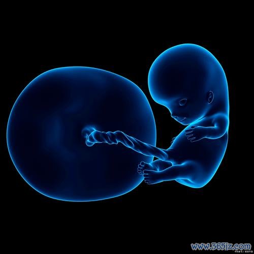 试管婴儿,过程,染色体,异常,可做