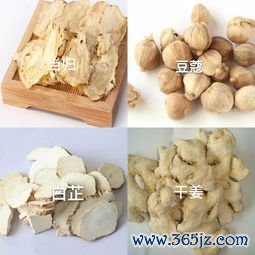 草豆蔻燥湿，厚朴温中汤