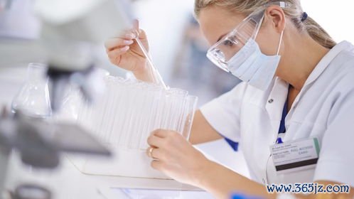 试管婴儿,那个,医院,成功率高