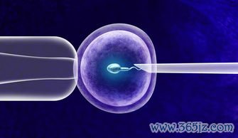 做试管婴儿需要什么证件