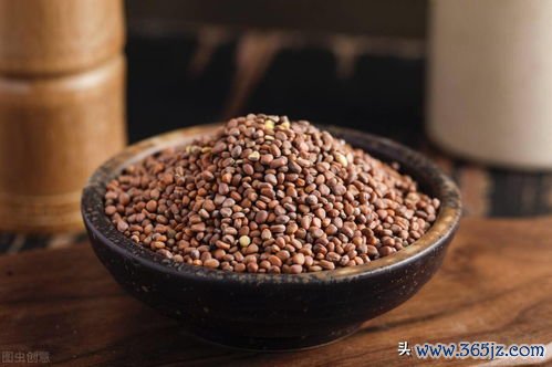 莱菔子降气，保和丸