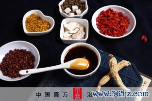 药膳食疗怎么吃，四季进补药膳方大全