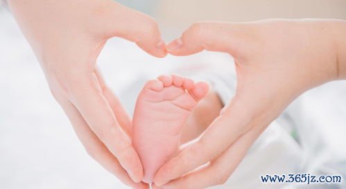 试管婴儿,需要,什么,手续