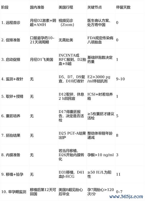 试管婴儿,需要,多少,费用