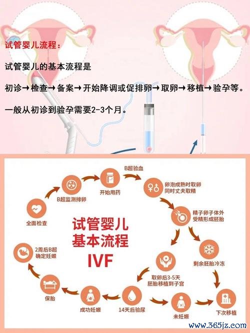 做试管婴儿需要多少钱，预算怎么做
