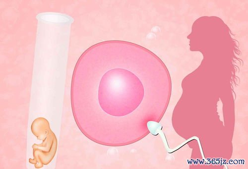 做试管婴儿需要多少钱啊