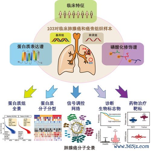 肺腺,女性,吸烟,基因,检测