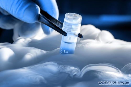 试管婴儿,需要,注意,什么