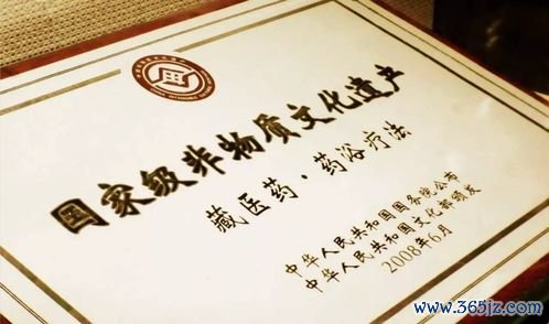 藏医,四部,医典,三因,学说