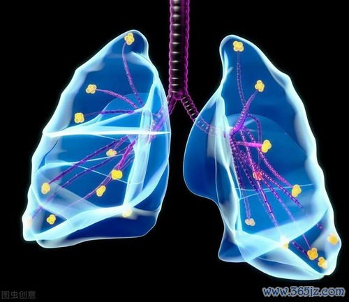 学说,五脏六腑,西医,解剖,学有