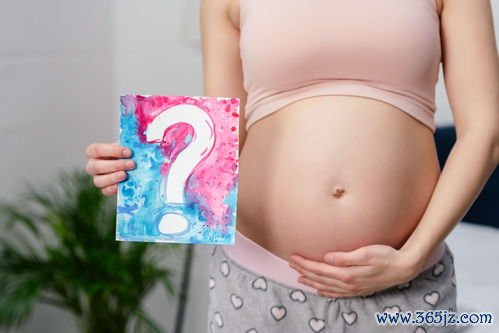 兰州做试管婴儿多少钱