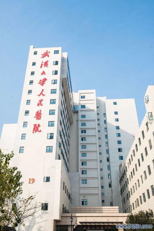 兰州试管婴儿医院