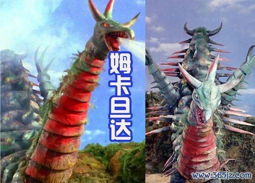 蜈蚣,攻毒,撮风