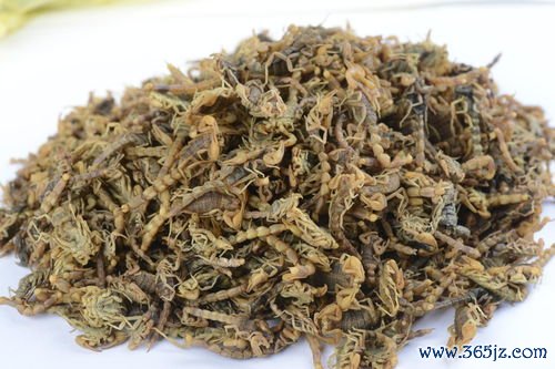 血余炭化瘀，血余炭末