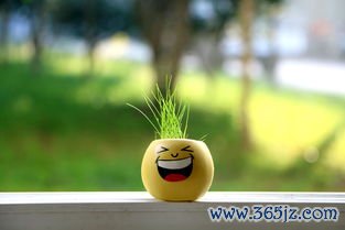 春季养肝：春天养肝