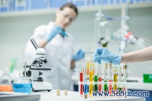 公立医院做试管和私立医院做试管哪个服务更好