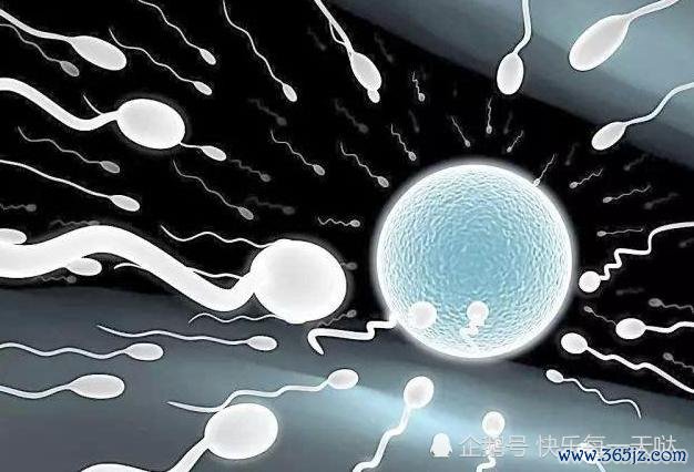 兰州试管婴儿哪家好