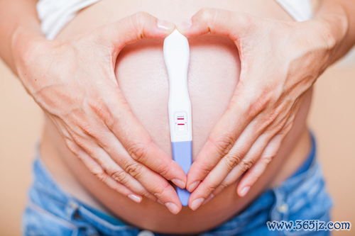 关于试管婴儿的了解