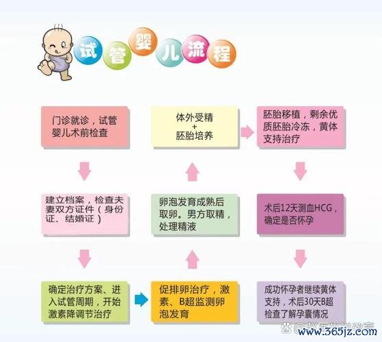 关于试管婴儿的了解