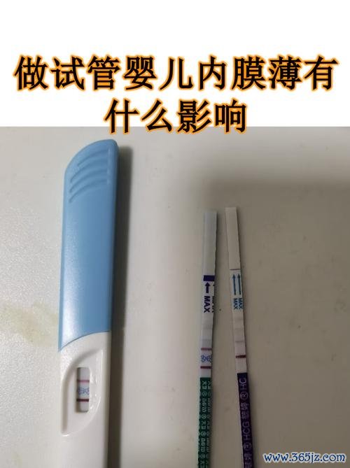 内膜薄可以做试管婴儿吗