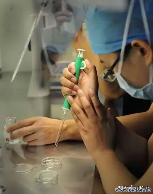 内膜薄可以做试管婴儿吗