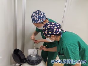 内蒙古试管婴儿