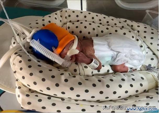 内蒙古试管婴儿