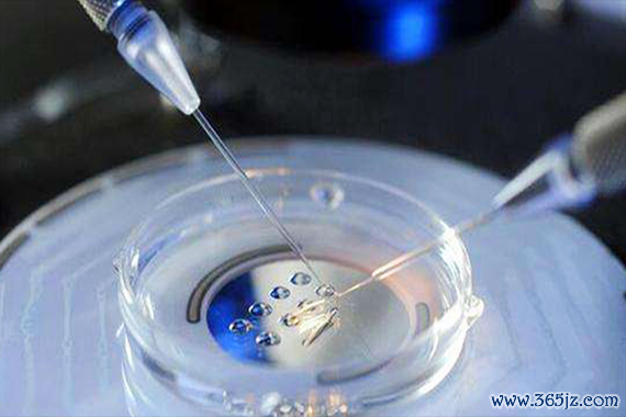 内膜薄能做试管婴儿吗