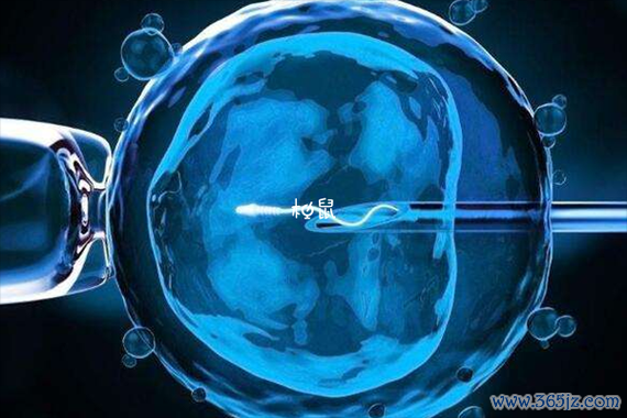 内蒙当地有做试管婴儿的医院吗？哪里做试管婴儿成功率高一些