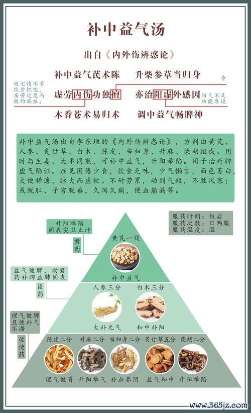 补中益气升阳陷，气虚发热脏器垂