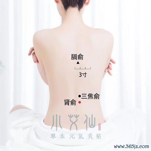 补中益气升阳陷，气虚发热脏器垂