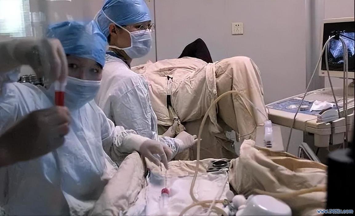 冷冻最长试管婴儿