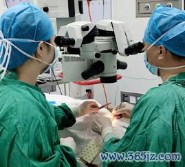 冻胚移植和鲜胚移植，哪个成功率更高