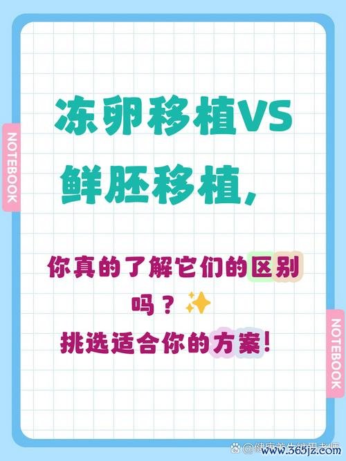 冻胚移植和鲜胚移植，哪个成功率更高