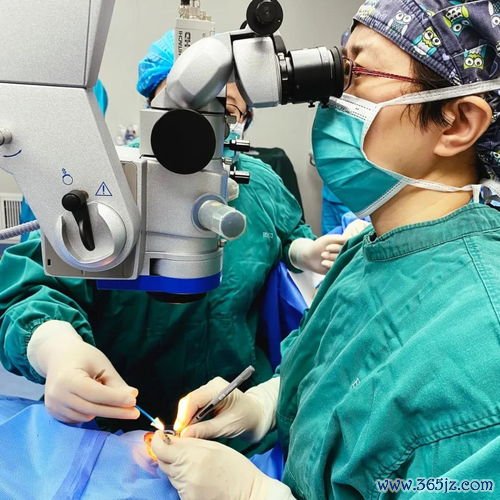 冻胚移植和鲜胚移植，哪个成功率更高