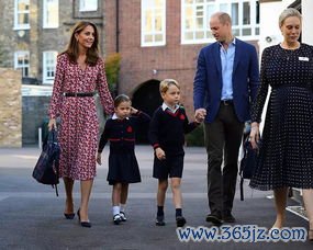 凯特王妃试管婴儿