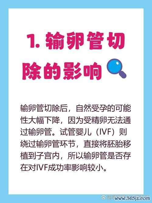 切除子宫还能做试管婴儿吗
