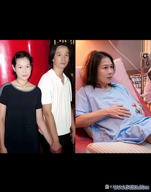 刘若英试管婴儿成功