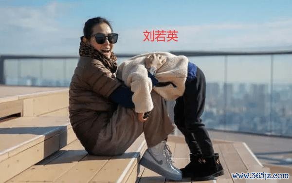 刘若英试管婴儿成功