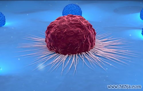 切除子宫可以做试管婴儿吗