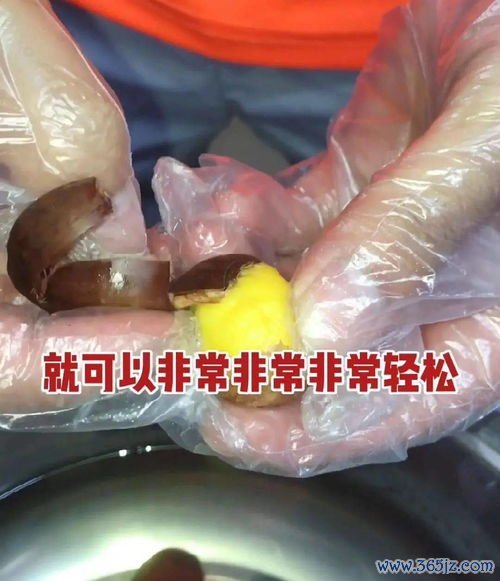 补阳药鹿茸巴戟，阳虚畏寒腰膝软