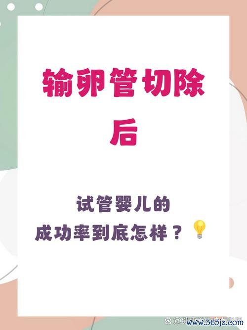 切除子宫能做试管婴儿吗