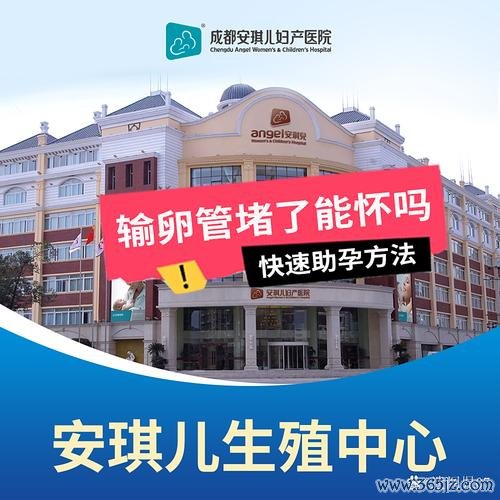 切除子宫能做试管婴儿吗